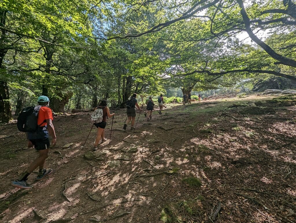 selec 359835586 660526976101006 7972458539805638942 n Location meublés à Amelie-les-bains