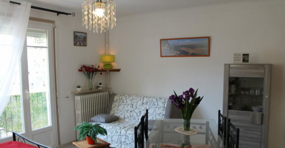 T1 vue sur les montagnes – Rives