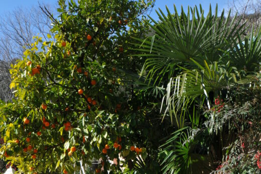 T3 rez-de-terrasse Villa Le Coin Rêvé &#8211; Moret