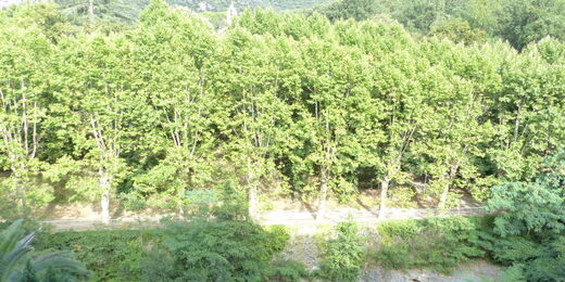 Amelie les bains location daviaud, photo de la vue depuis la chambre du T2 n°C10. Toutes nos locations se trouvent à 100 mètres des thermes.